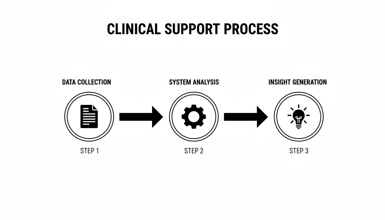 Flowchart illustrating the Clinical Support Process with Data Collection, System Analysis, and Insight Generation steps.