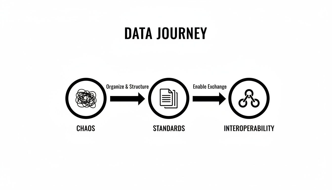 Diagram illustrating the data journey from chaos to interoperability through standards and exchange.