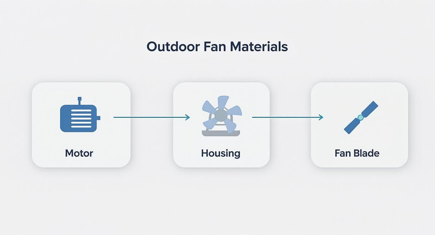 Infographic about best outdoor ceiling fans