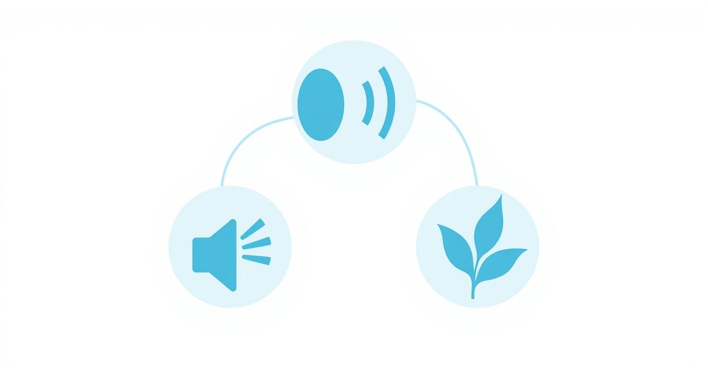 Infographic about best ceiling fan for bedroom