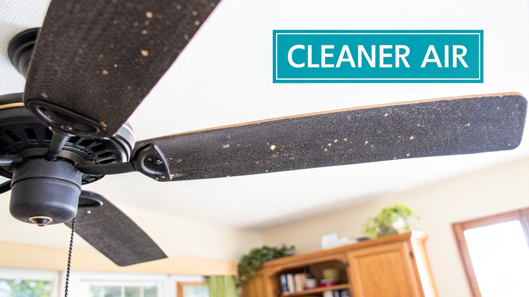 A modern ceiling fan with clean blades spinning in a well-lit living room, emphasizing air circulation.