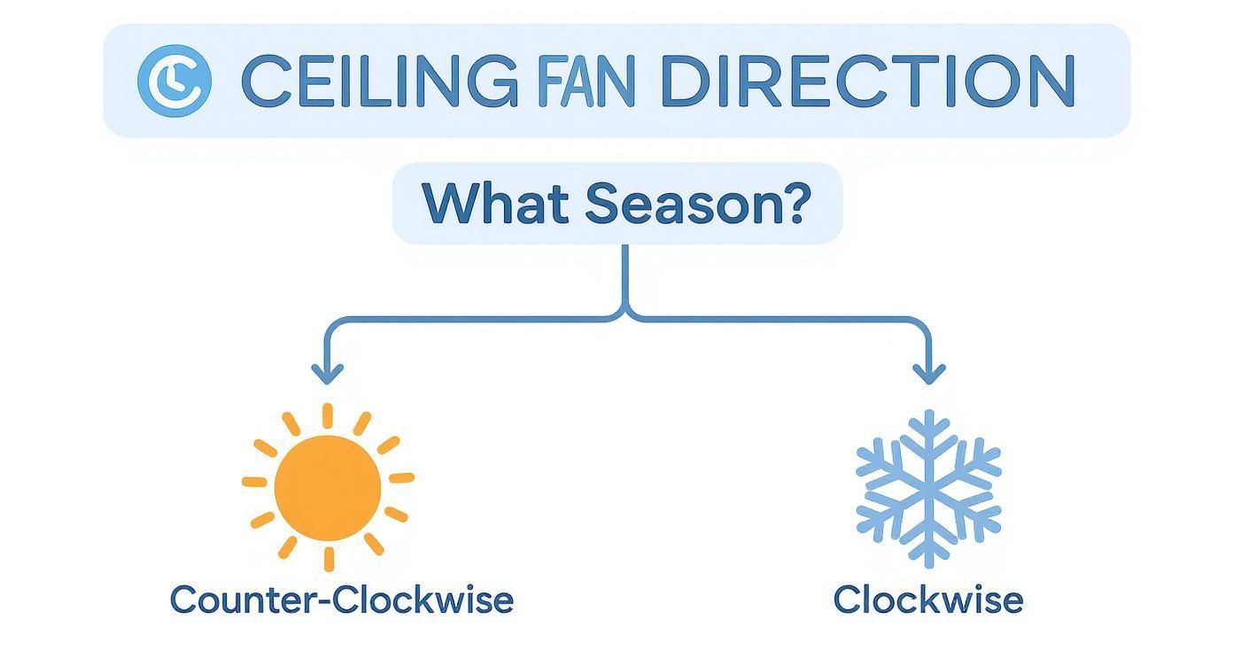 Diagram showing ceiling fan direction: counter-clockwise for summer (sun) and clockwise for winter (snowflake).
