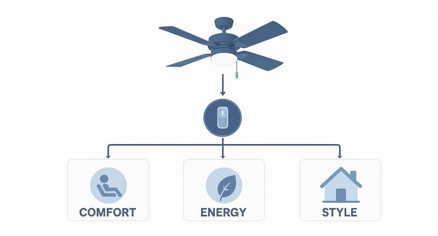 Infographic about switch for ceiling fan