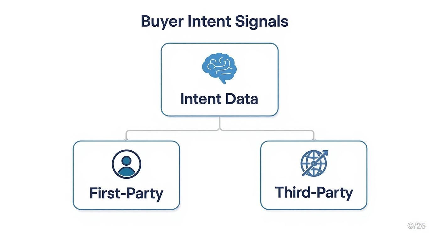 Infographic showing a hierarchy diagram of Buyer Intent Signals, with Intent Data at the top branching into First-Party and Third-Party data sources.