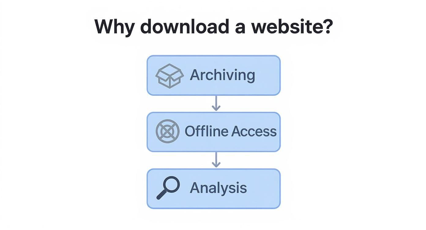 Infographic about how to download entire website
