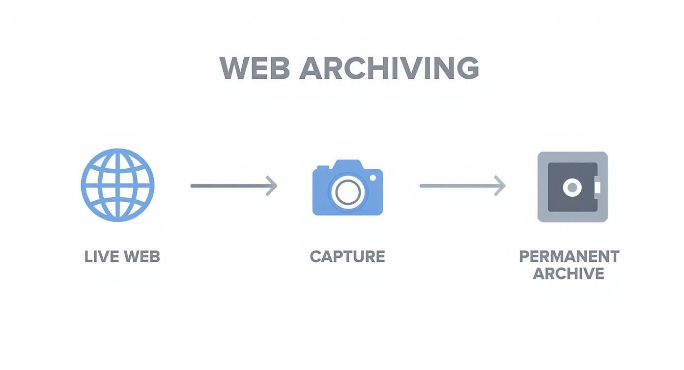 Infographic showing the web archiving process flow from live web to capture to a permanent archive.