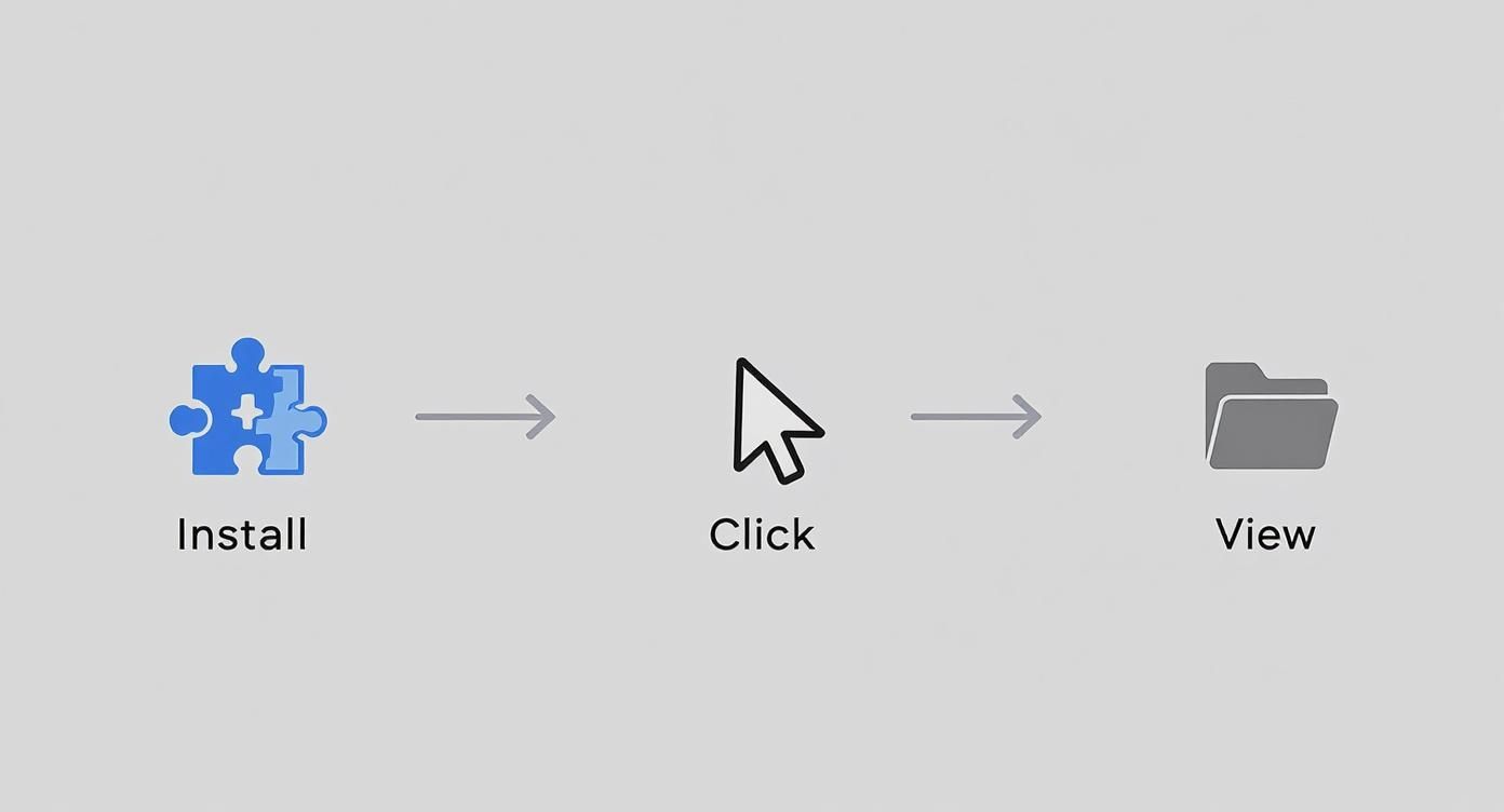 Infographic about how to download a whole website