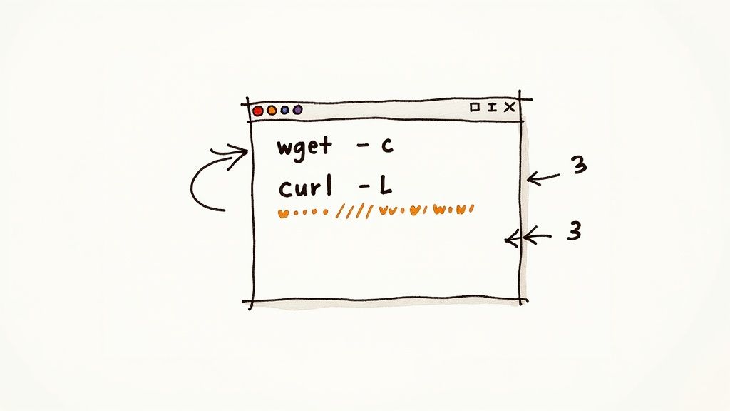 Screenshot from https://curl.se/