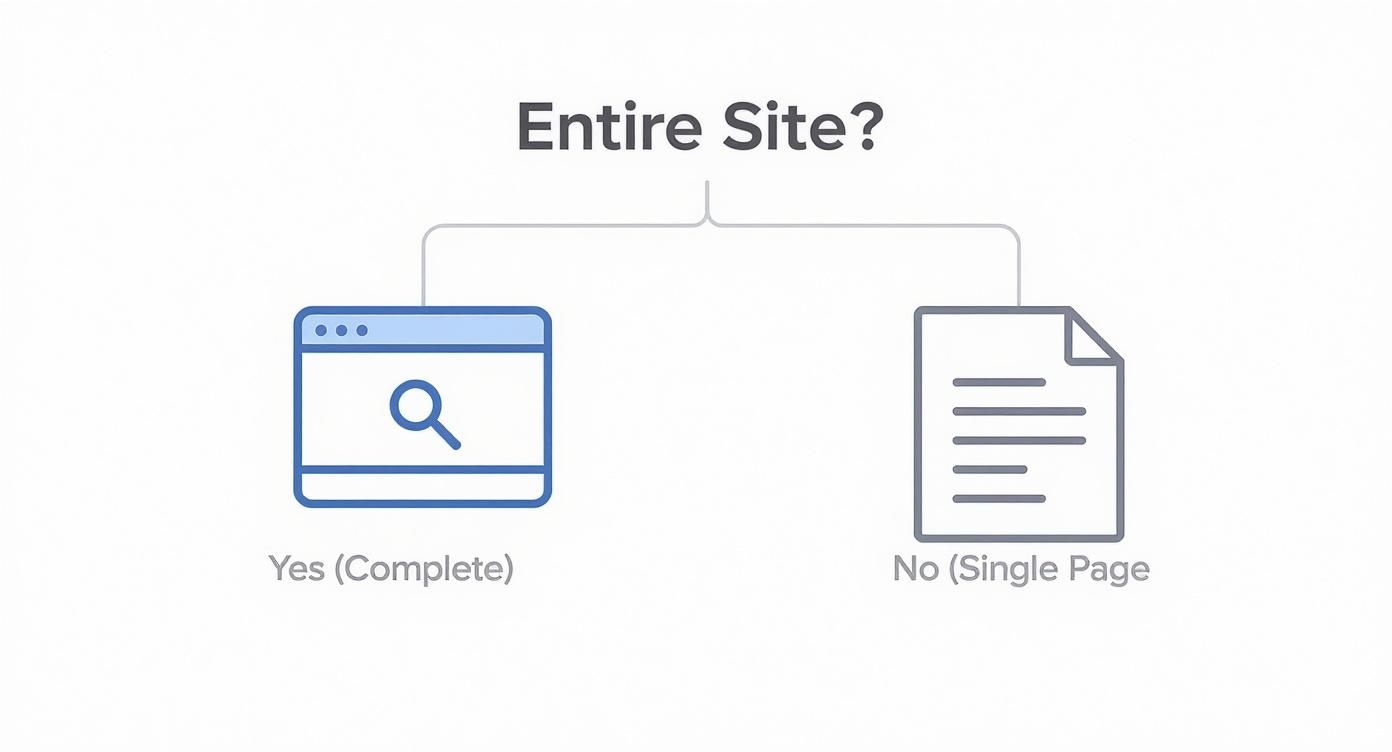 Infographic about how to save websites for offline viewing