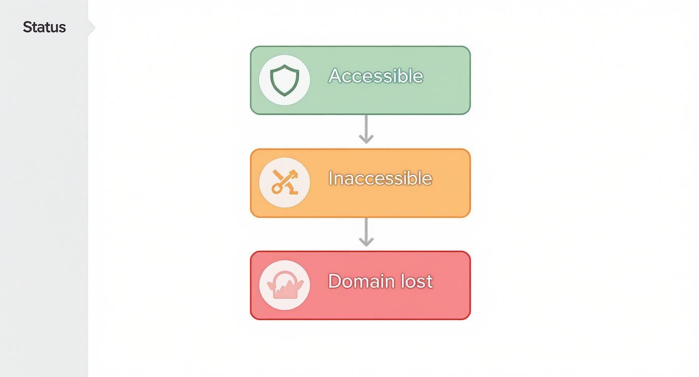 Infographic showing a decision tree for webpage status: Accessible, Inaccessible, and Domain Lost, each with a corresponding icon.
