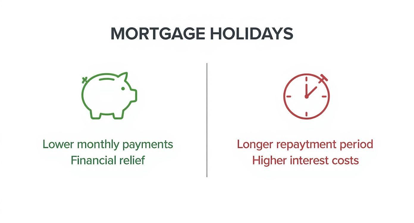Infographic about mortgage holiday nz