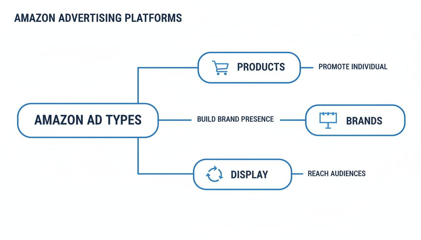 A diagram explaining Amazon ad types, including products, brands, and display, showing their respective purposes.