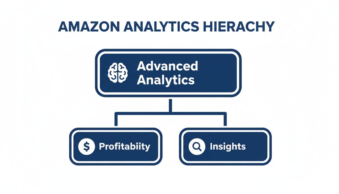 A hierarchical diagram showing Amazon Advanced Analytics leading to Profitability and Insights.