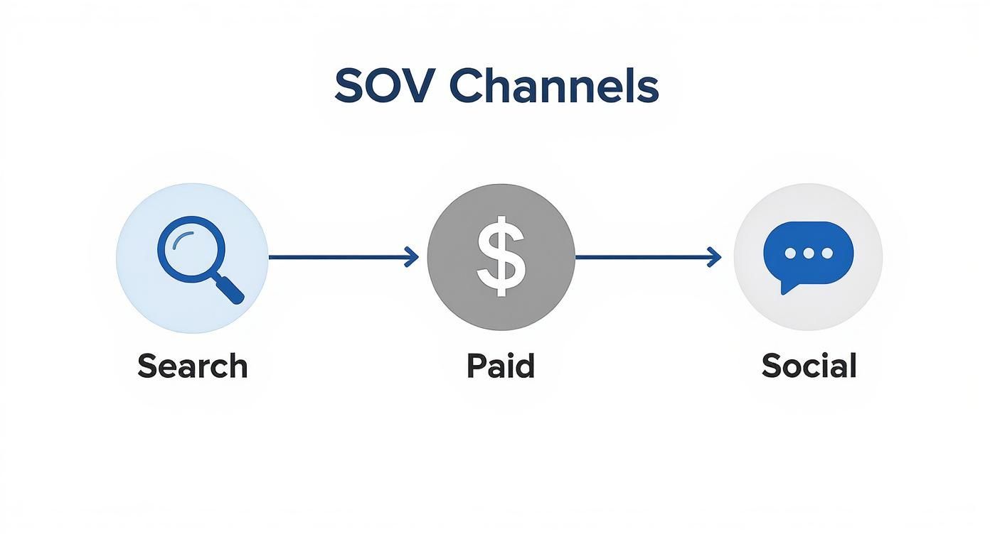 Infographic showing the three core channels for Share of Voice: Search, Paid, and Social.