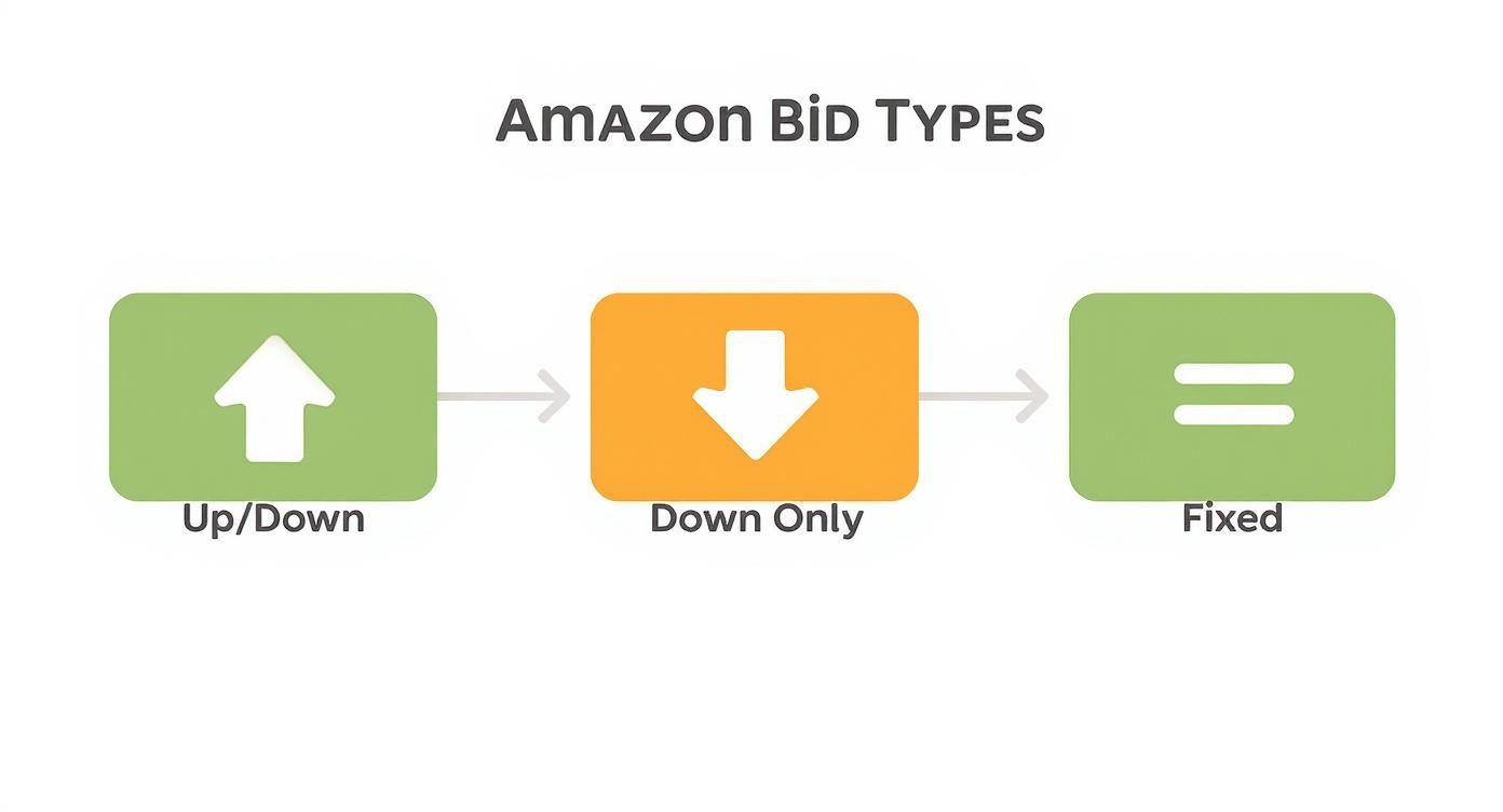 A diagram illustrating Amazon bid types: Up/Down, Down Only, and Fixed strategies with directional arrows.
