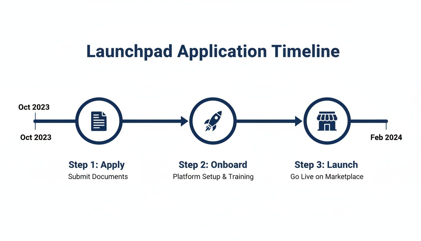 Launchpad application timeline detailing three steps: Apply, Onboard, and Launch, from Oct 2023 to Feb 2024.