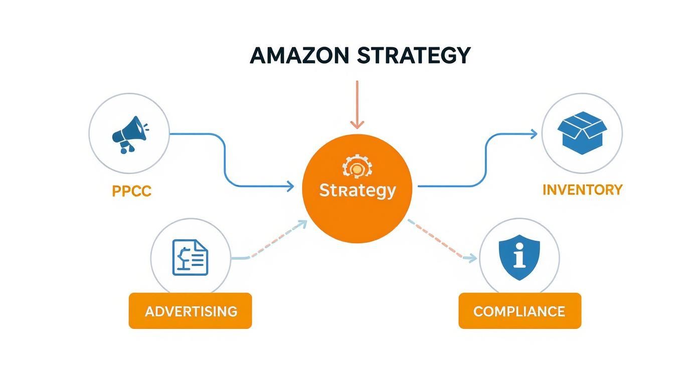 Amazon strategy diagram showing PPCC, Inventory, Compliance, and Advertising components connecting to central strategy hub