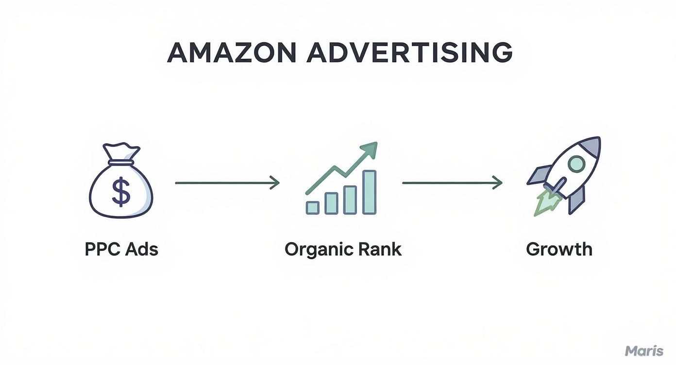 Infographic about amazon advertising management services
