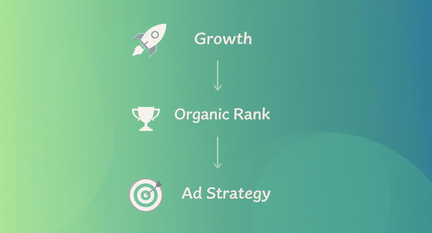 Flowchart showing growth leading to organic rank, which influences ad strategy for digital marketing.