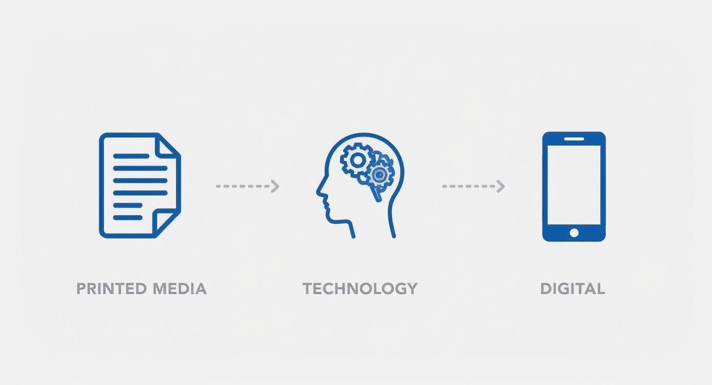Infographic about kosova sot