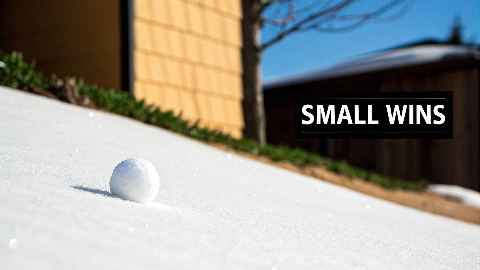 A small, perfectly round snowball rests on a sparkling white snowy slope, with text 'SMALL WINS' overlaid.