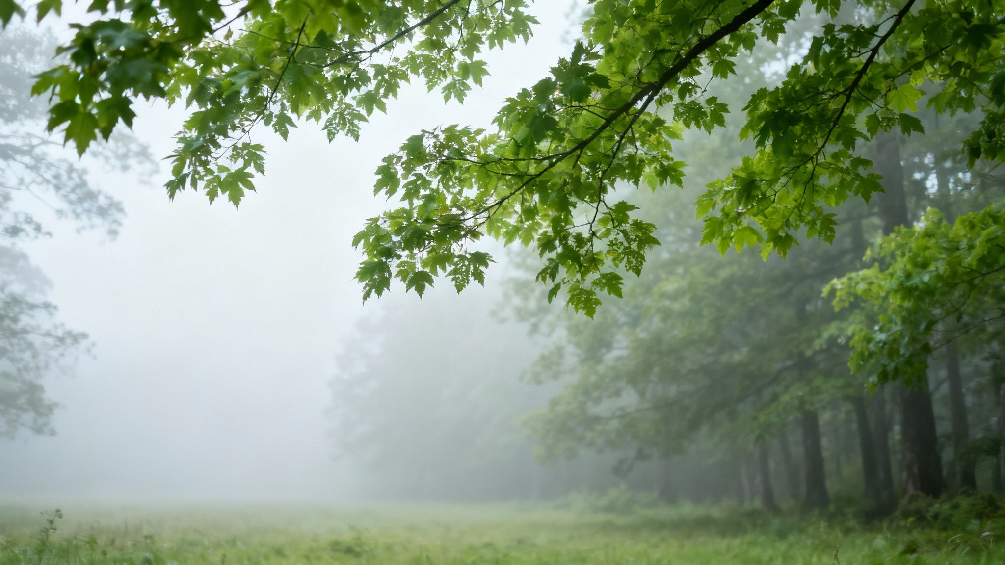 A portrait of a woman in a red dress taken on an overcast day, showcasing the soft, even lighting.