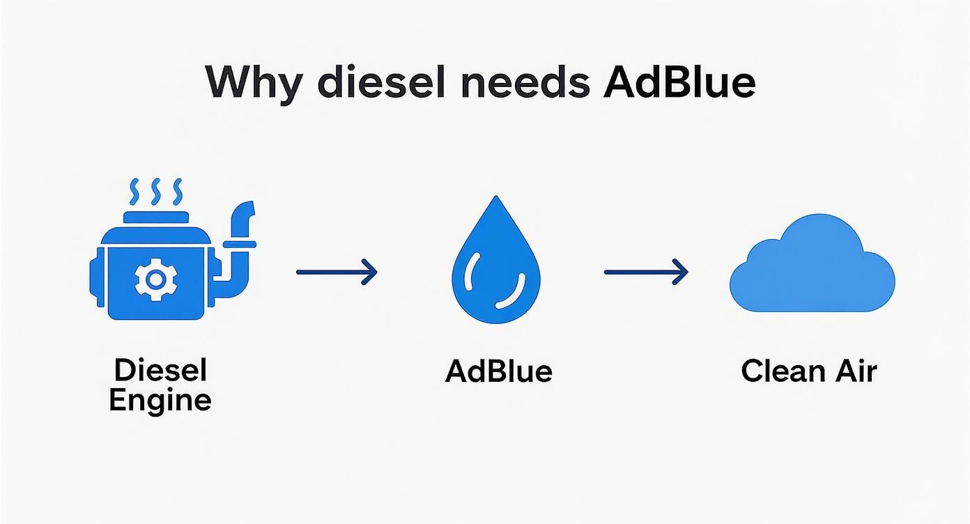Infographic explains why diesel engines use AdBlue to produce clean air.