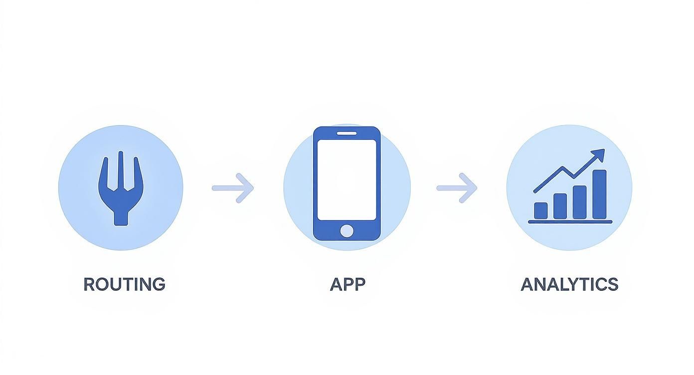 A workflow diagram illustrates data routing, a mobile app represented by a phone, and analytics shown by a growth chart.