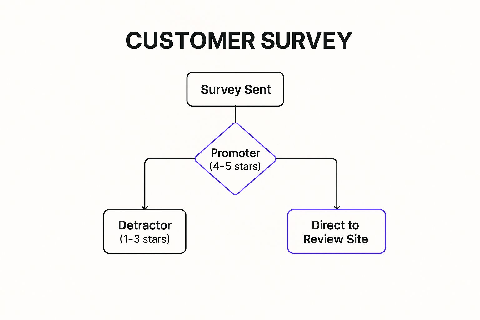 Infographic showing key data about Feedback Surveys with Review Funneling