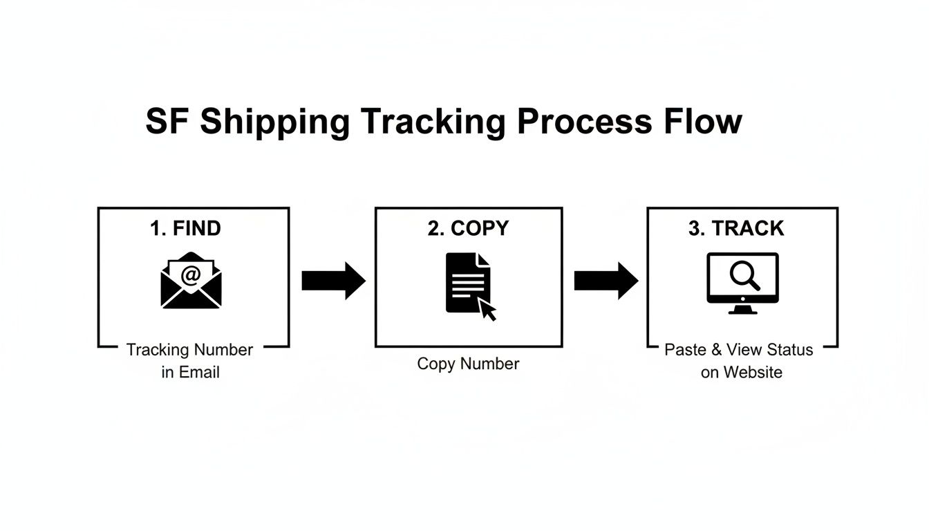 A three-step process flow diagram illustrating SF Shipping tracking: find, copy, and track.