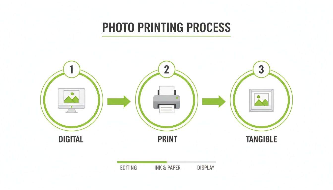 A step-by-step infographic illustrating the transformation of digital photos into printed, tangible images.