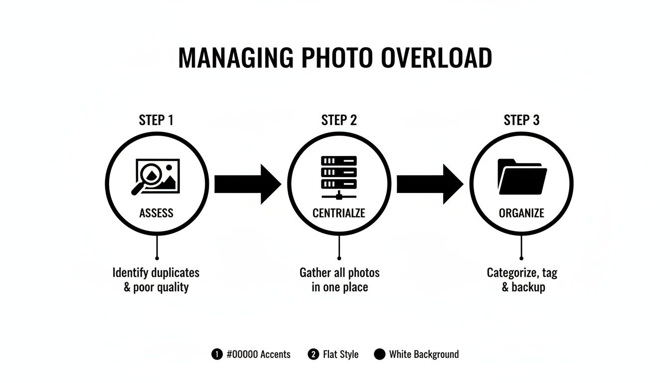 A three-step infographic outlining how to manage photo overload: assess, centralize, and organize digital images.