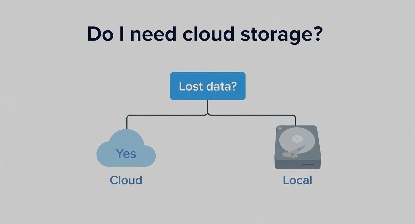 A flowchart titled 'Do I need cloud storage?' illustrating data loss leading to cloud or local options.