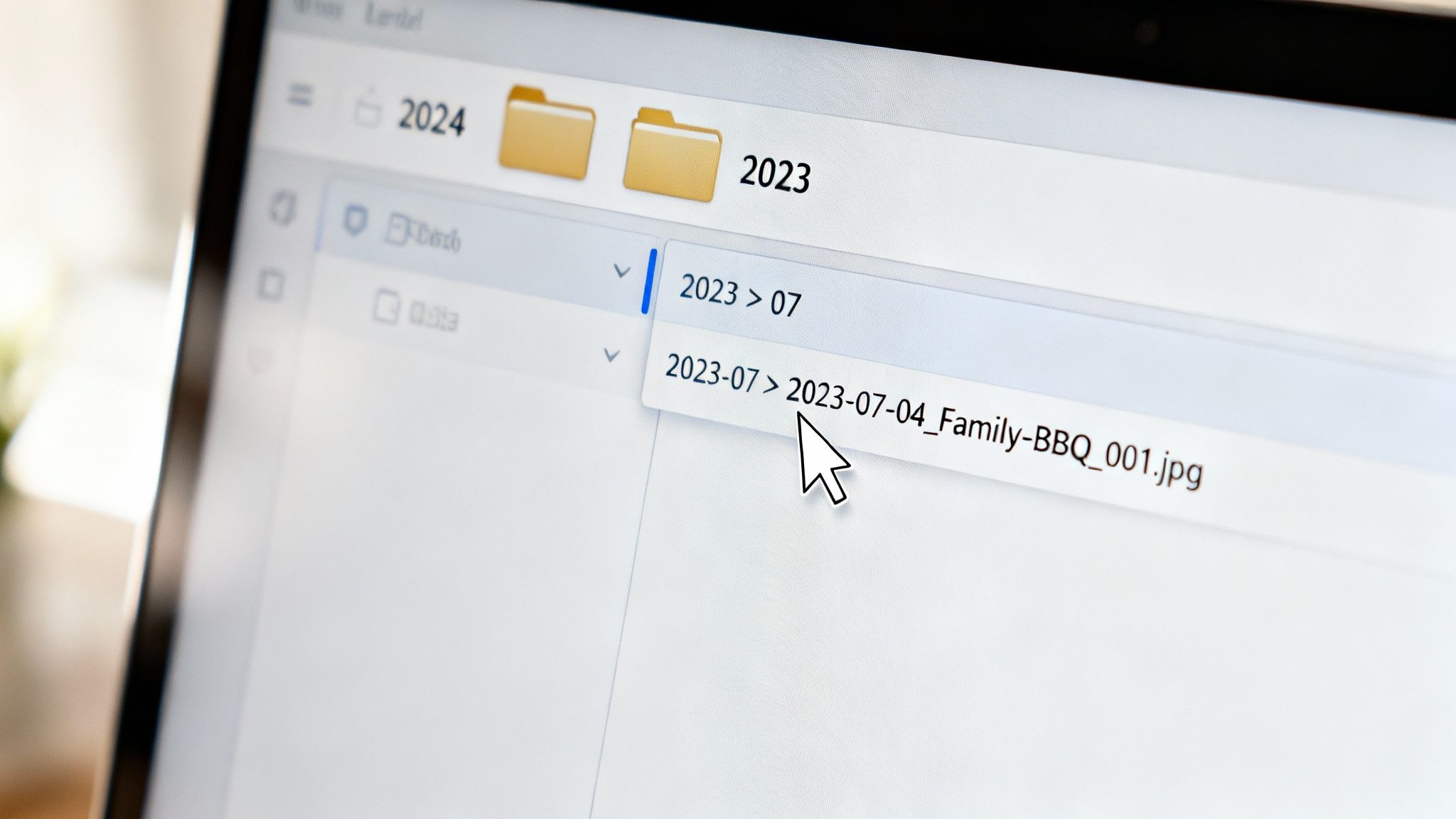 Computer screen showing digital photos organized by year and month, with a mouse pointing to a 'Family-BBQ' image file.