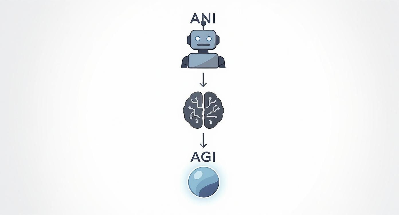 A diagram illustrating the progression from Artificial Narrow Intelligence (ANI) to Artificial General Intelligence (AGI).
