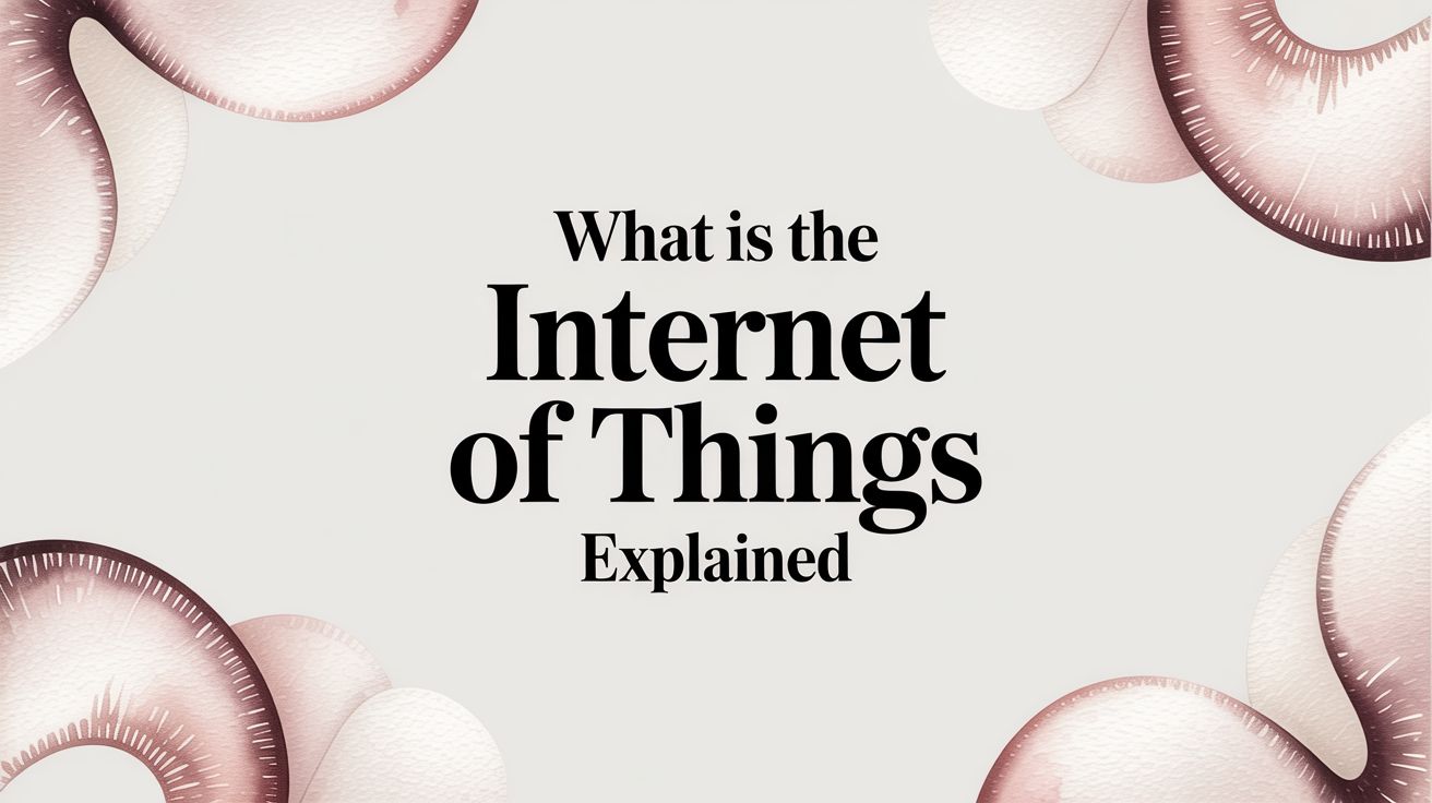 What Is the Internet of Things Explained