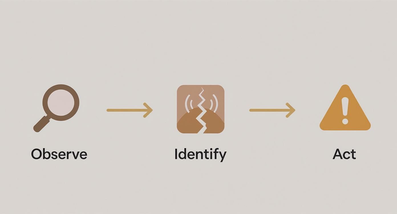 Infographic about how to remove tree roots