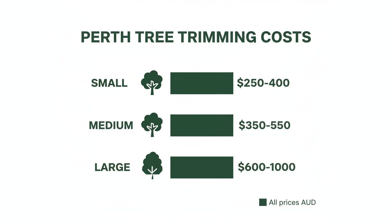 A chart detailing Perth tree trimming costs for small, medium, and large trees in AUD.