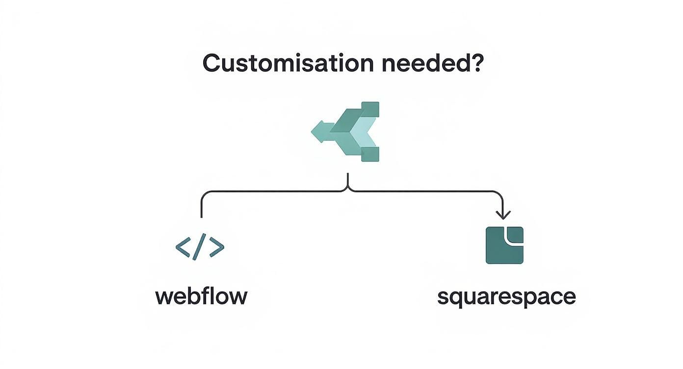 An infographic decision tree showing portfolio platform choices based on customisation needs.