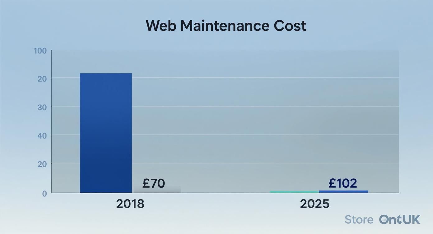 Infographic about web maintenance cost