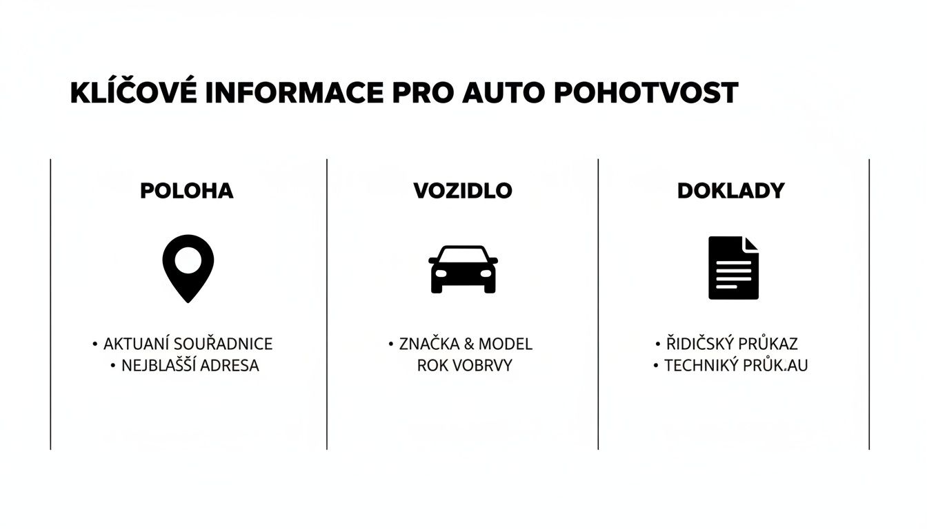 Přehled klíčových informací pro auto pohotovost: poloha, detaily vozidla a potřebné doklady.