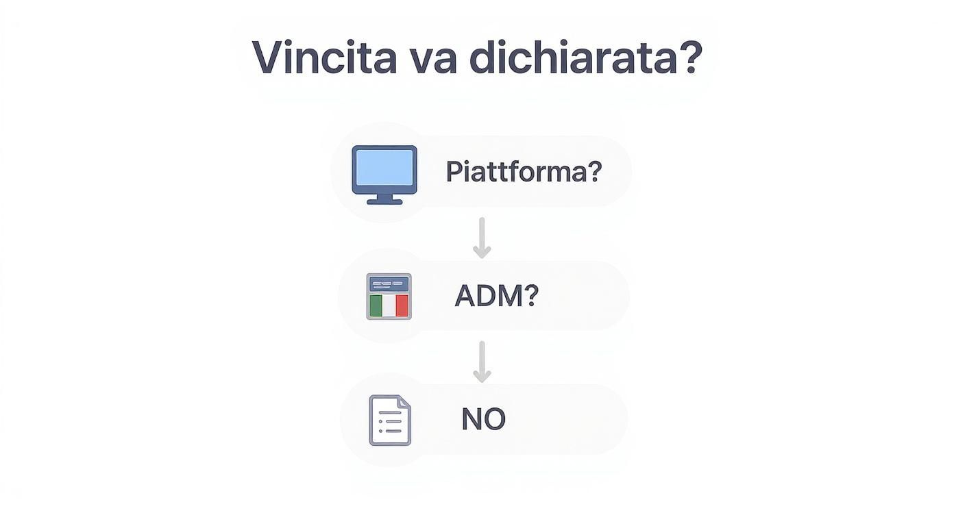 Infographic about le vincite vanno dichiarate nel 730