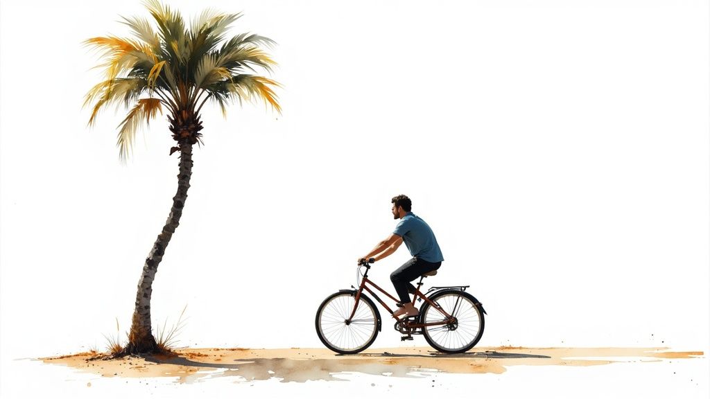 Bicycle Rentals