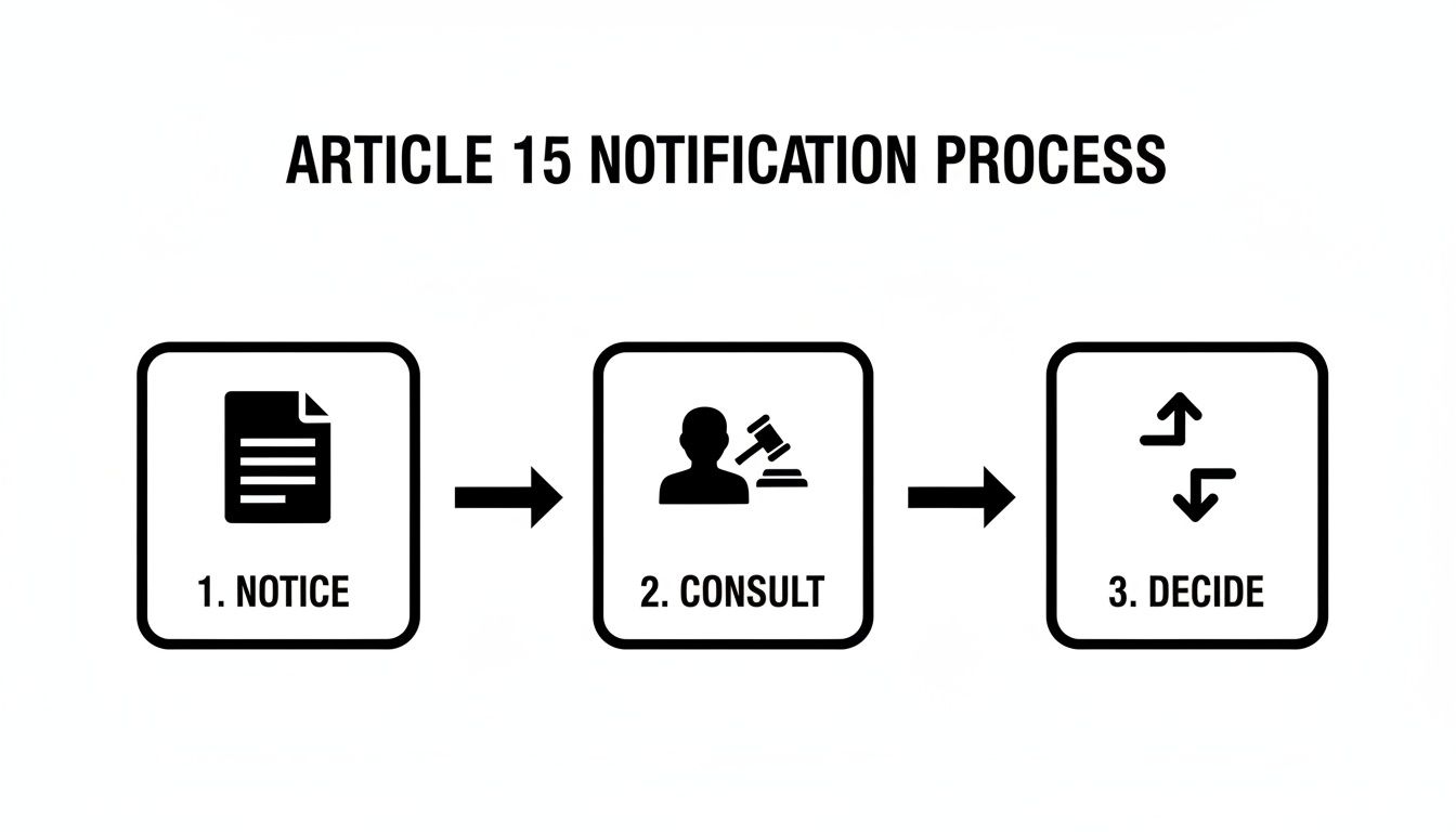 Flowchart illustrating the Article 15 notification process with steps: Notice, Consult, and Decide.