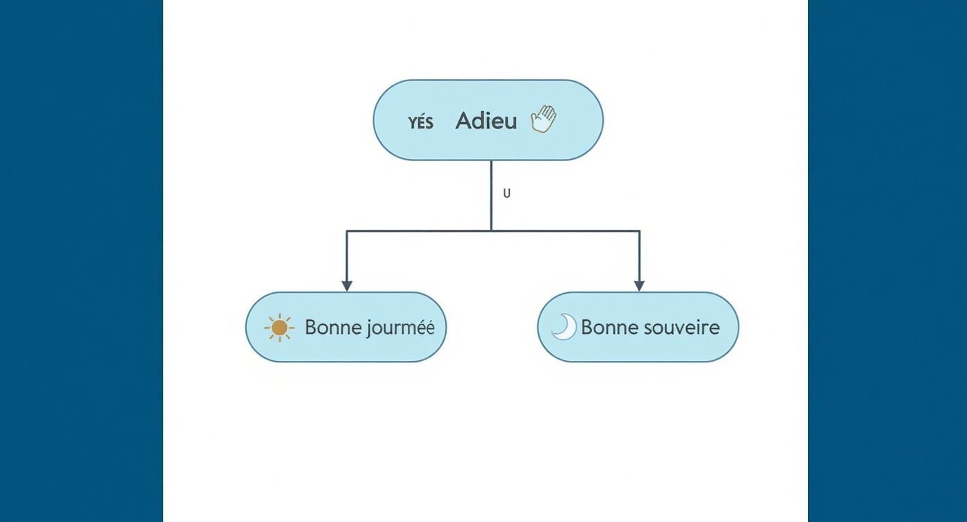 Infographic decision tree for choosing a formal French goodbye.