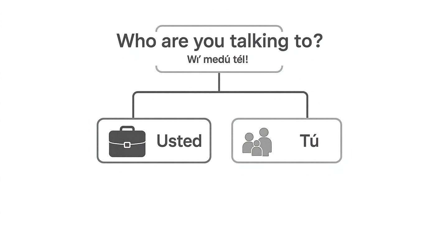 Flowchart distinguishing between formal 'Usted' (briefcase) and informal 'Tú' (people) in Spanish.