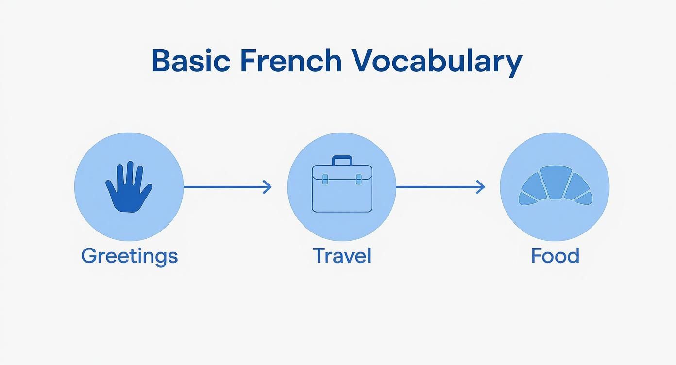 Infographic about basic french language