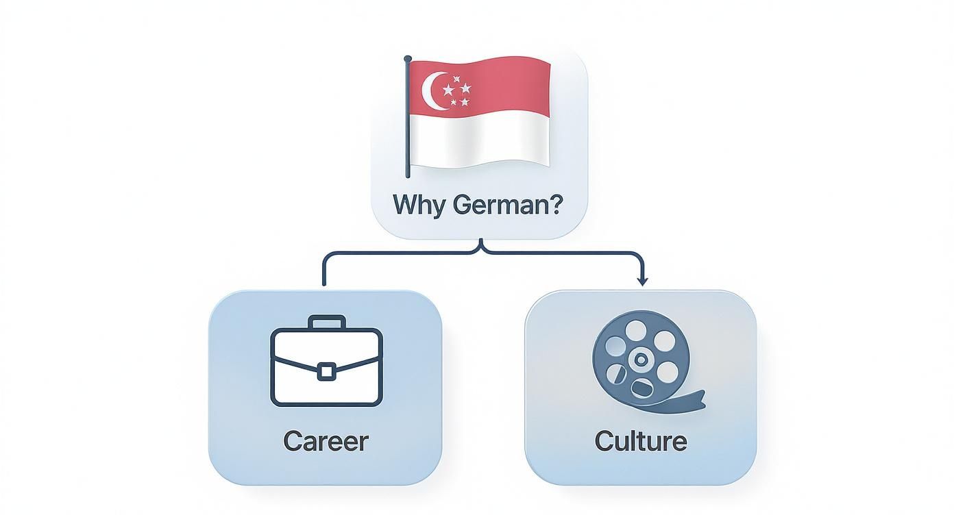 Infographic about german lessons singapore