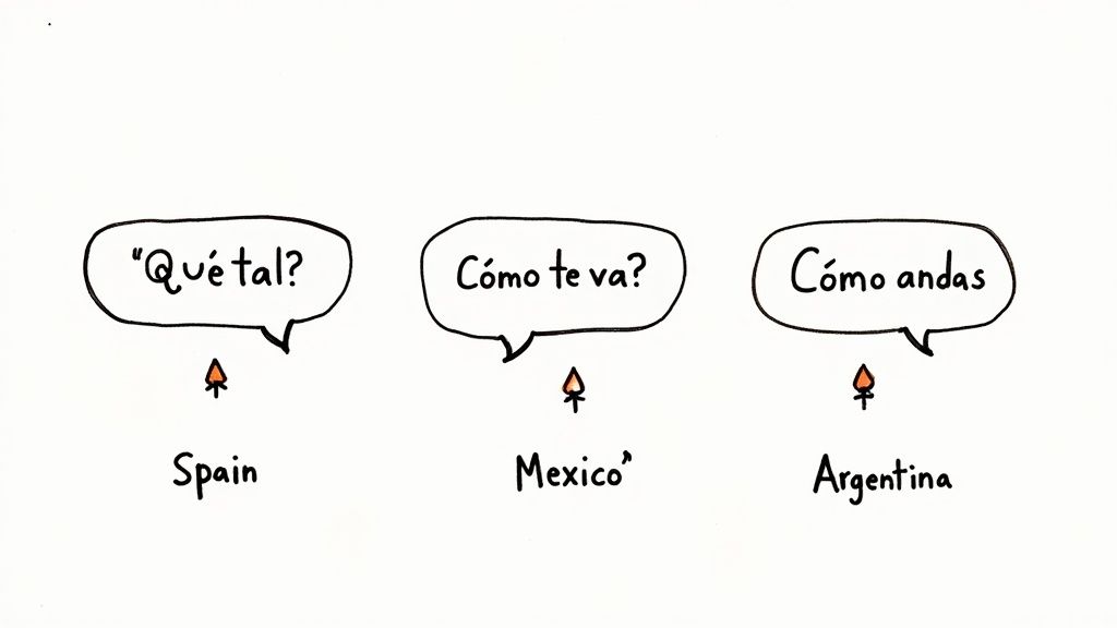 An illustration showing three different Spanish phrases for 'How are you?' and their respective countries: Spain, Mexico, and Argentina.