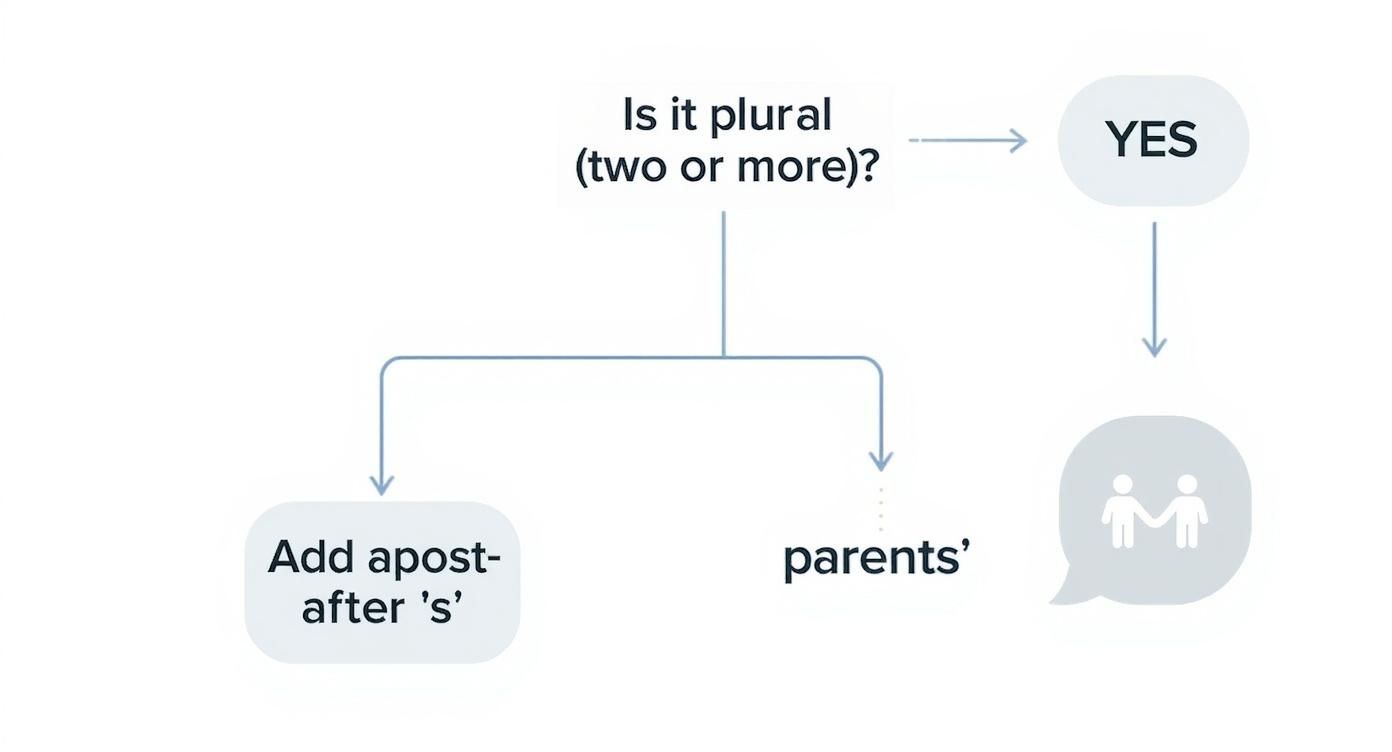Flowchart showing grammar rules for using apostrophes with plural and singular parent possessives